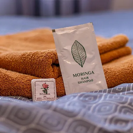 Vitosha Viewpoint - Chic Apartament *