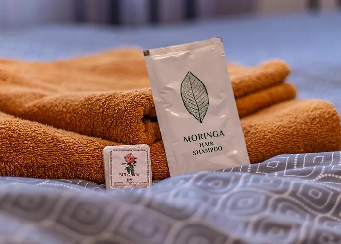 Vitosha Viewpoint - Chic Apartman *