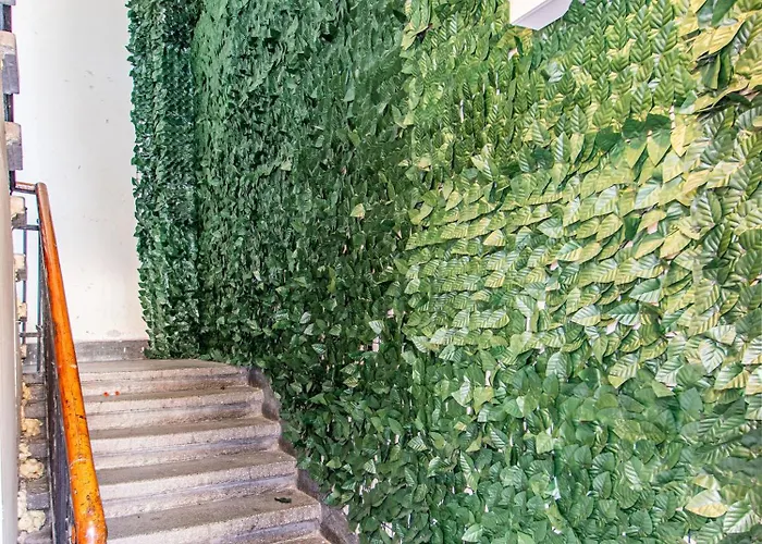 Vitosha Viewpoint - Chic