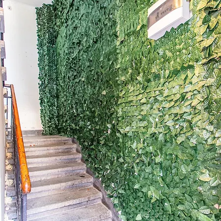 Vitosha Viewpoint - Chic